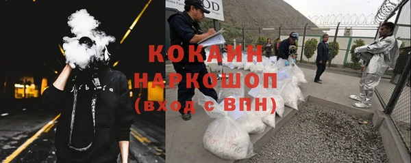 ПСИЛОЦИБИНОВЫЕ ГРИБЫ Верхний Тагил