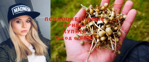 дурь Верея