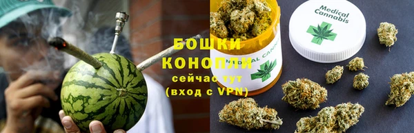 ПСИЛОЦИБИНОВЫЕ ГРИБЫ Верхний Тагил